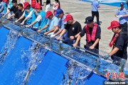 合财八字2025年全国水生生物同步增殖放流活动在福建举行